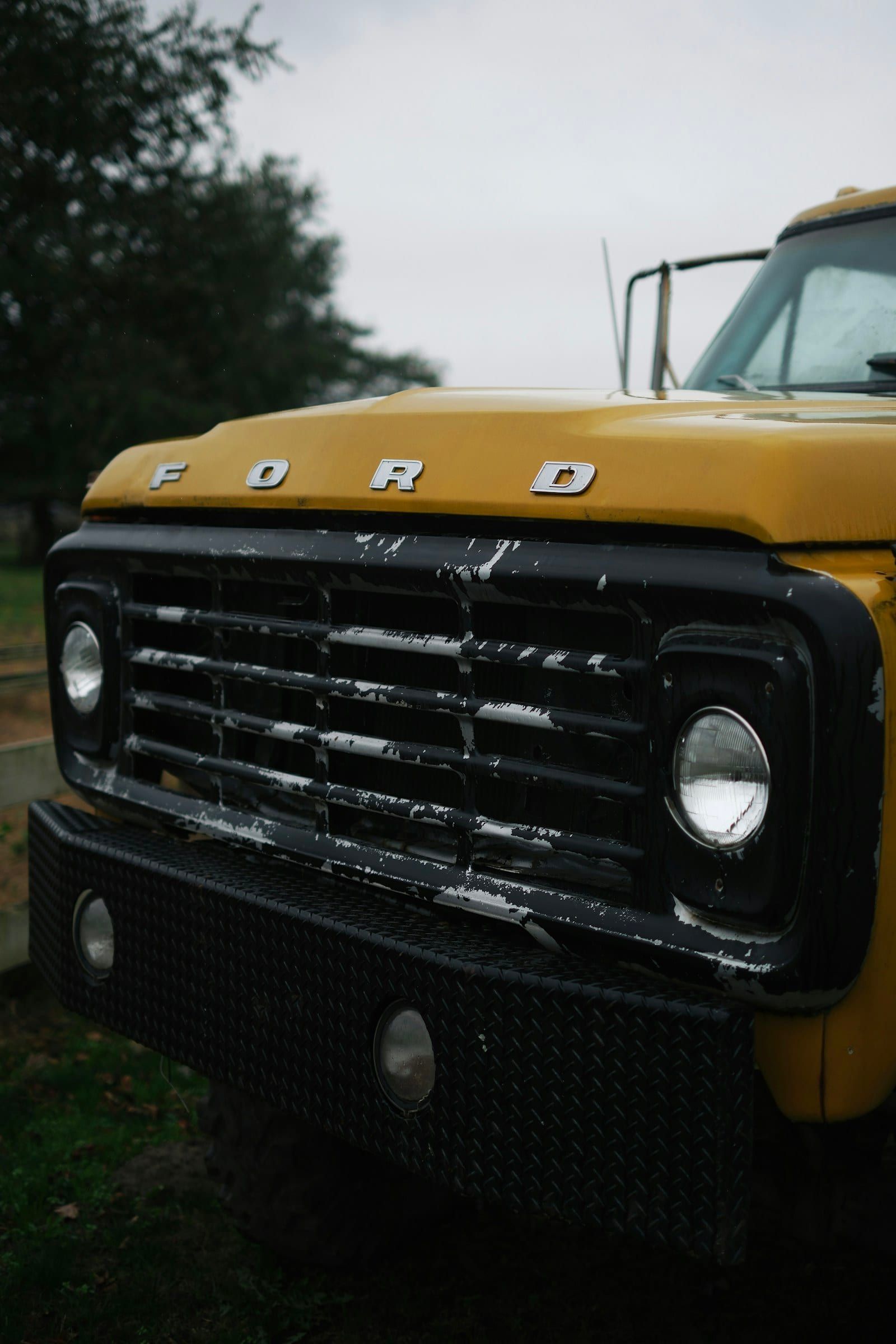 Ford grille close-up — bumper-mount trumpet context